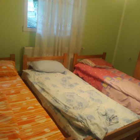 Guesthouse Stanojevic Guča Kültér fotó