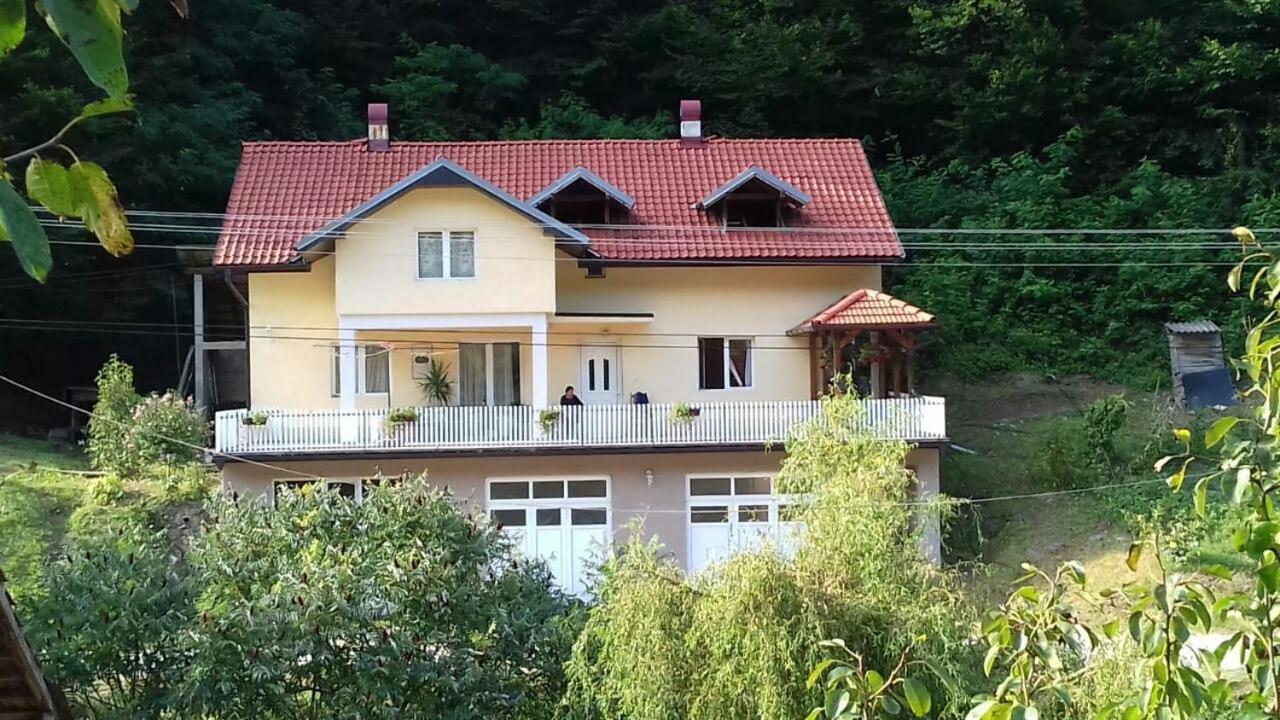 Guesthouse Stanojevic Guča Kültér fotó