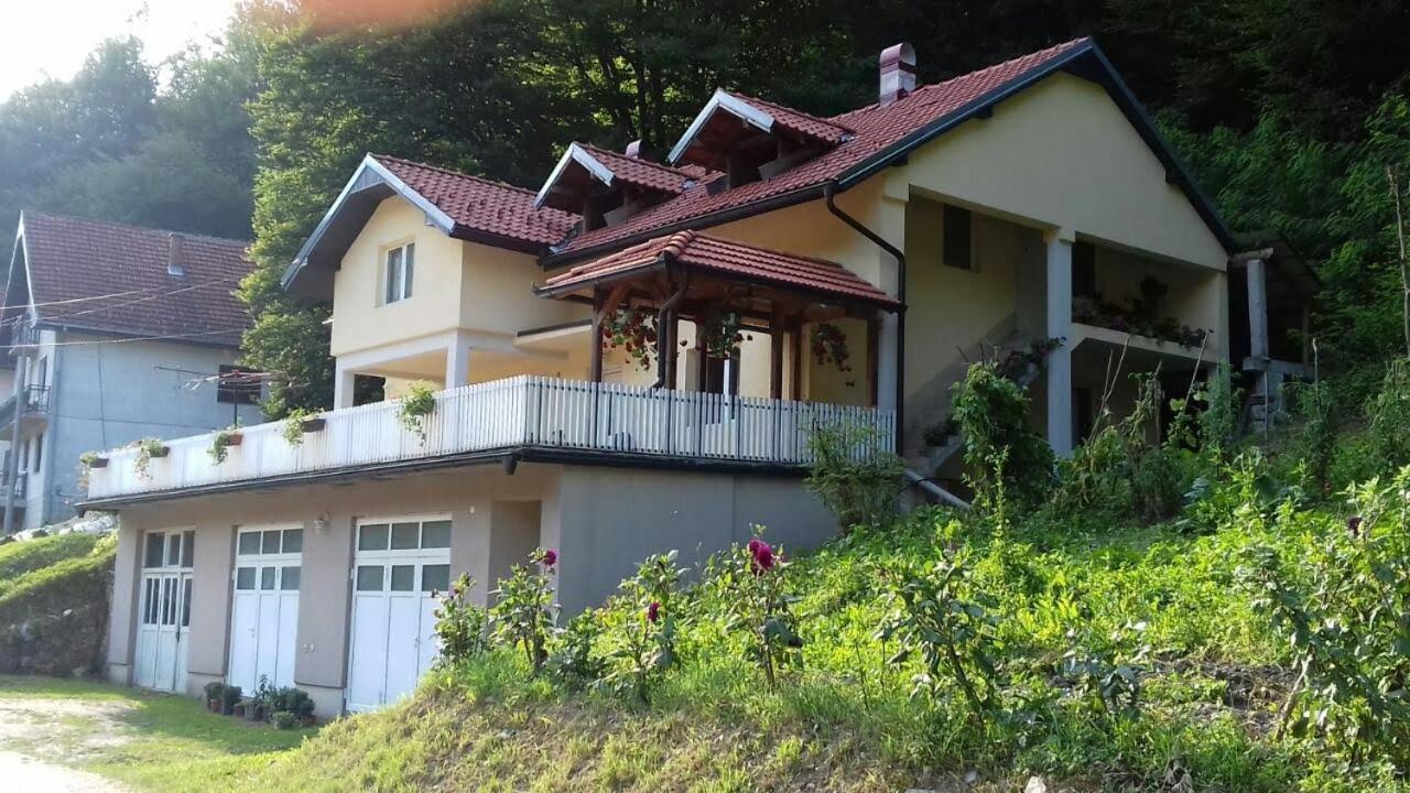 Guesthouse Stanojevic Guča Kültér fotó