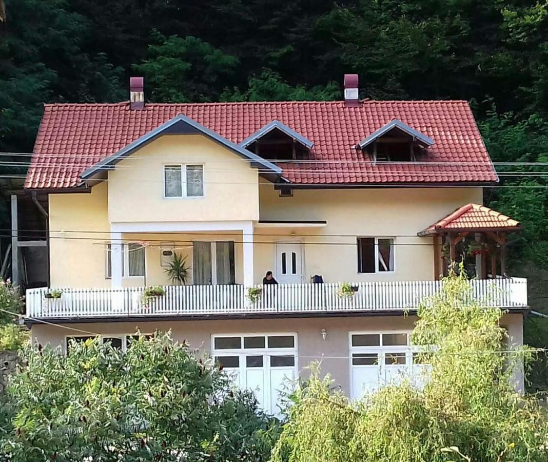 Guesthouse Stanojevic Guča Kültér fotó