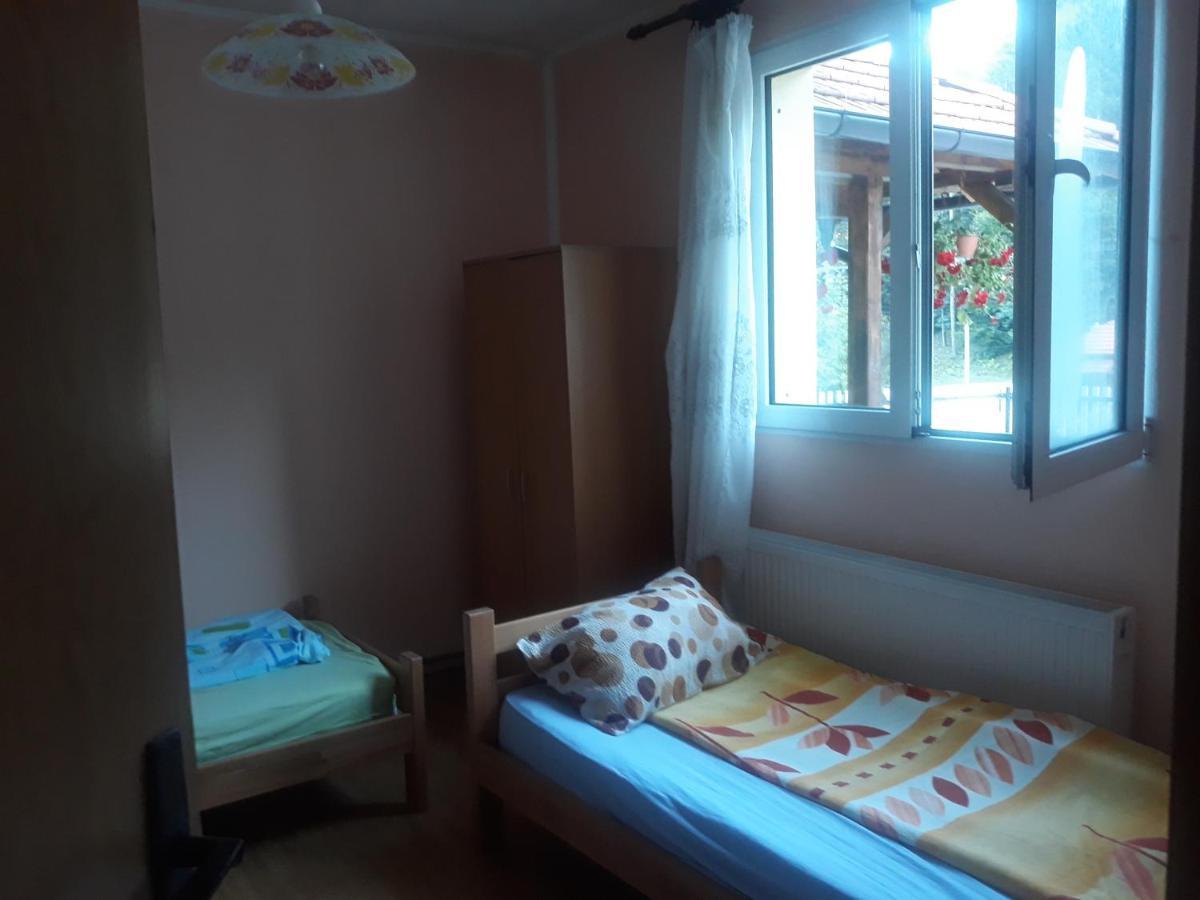 Guesthouse Stanojevic Guča Kültér fotó