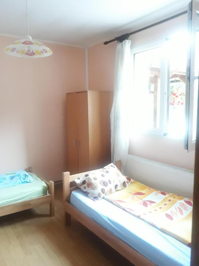 Guesthouse Stanojevic Guča Kültér fotó
