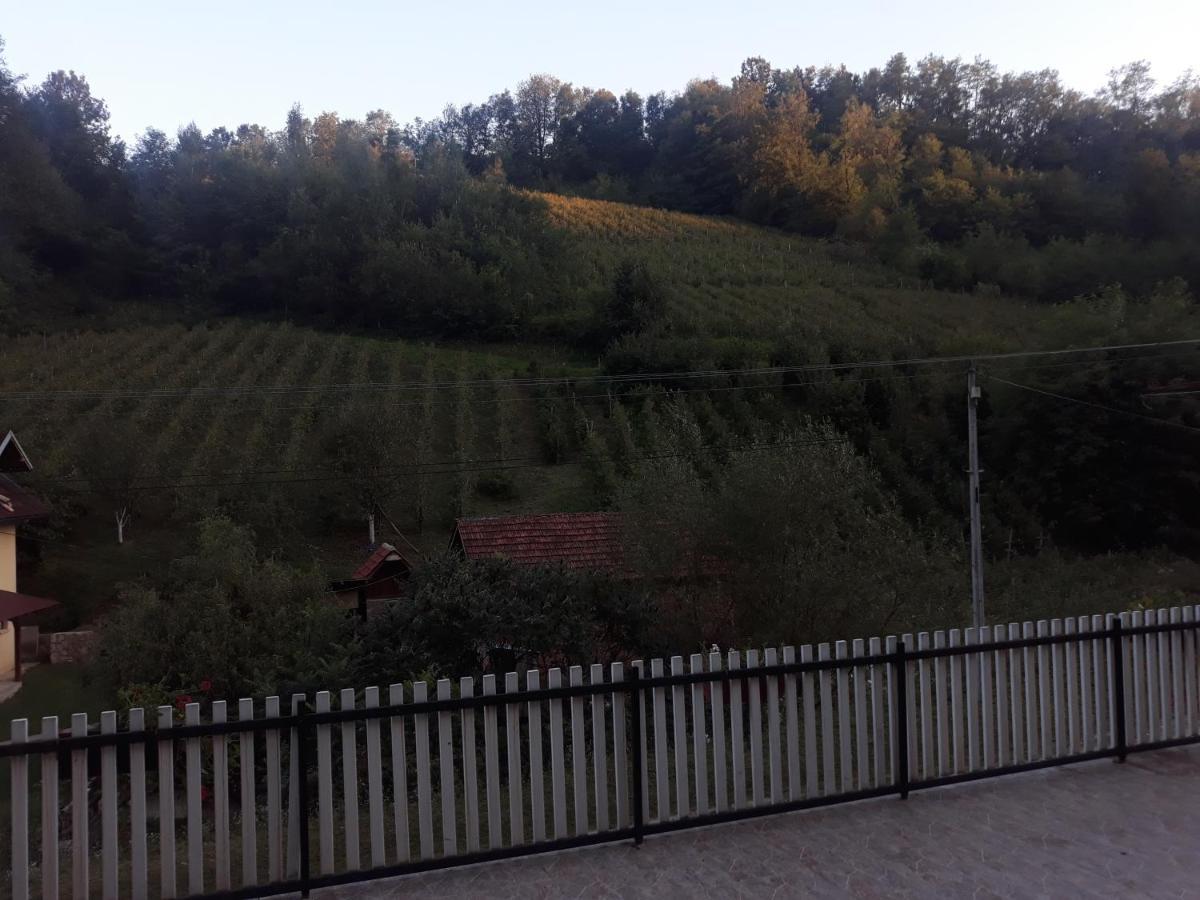 Guesthouse Stanojevic Guča Kültér fotó