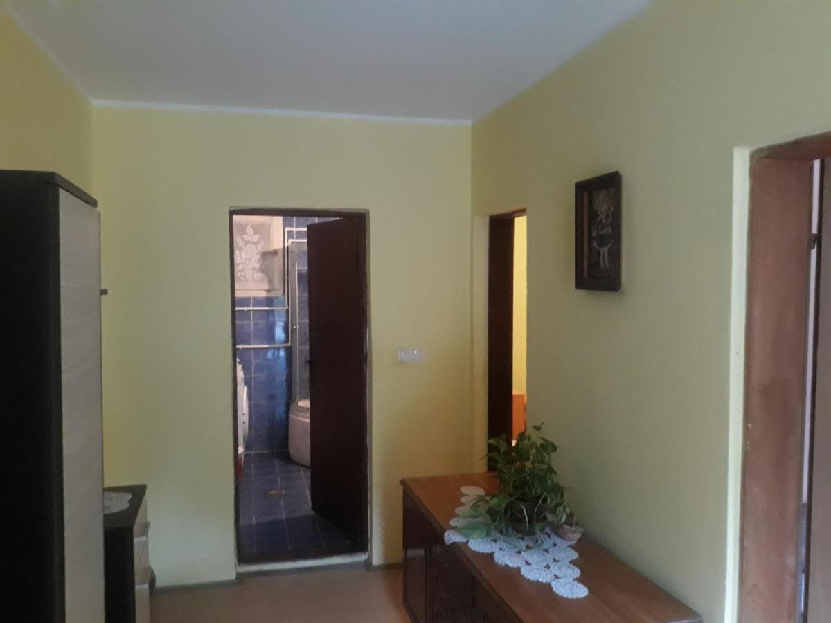 Guesthouse Stanojevic Guča Kültér fotó