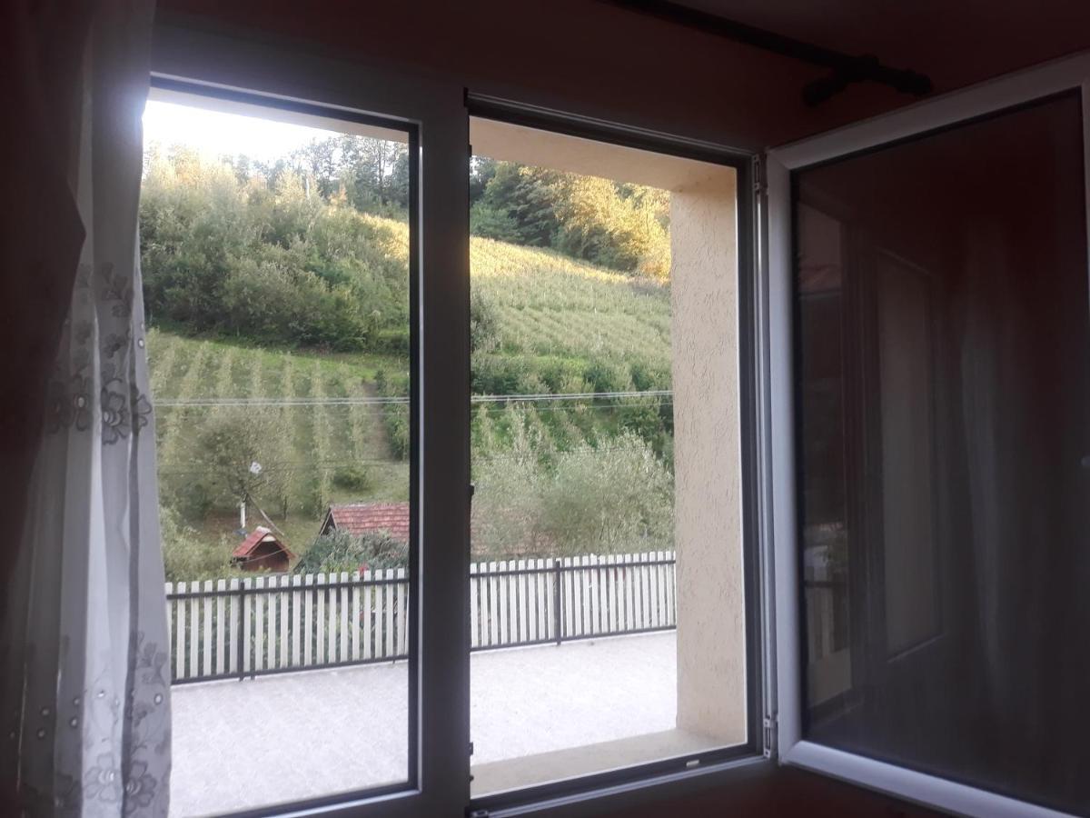 Guesthouse Stanojevic Guča Kültér fotó