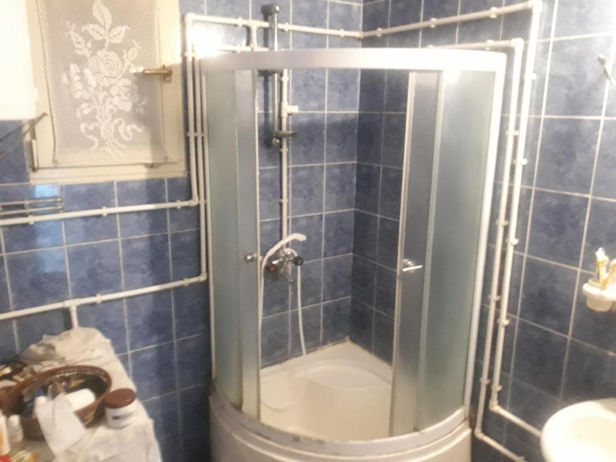Guesthouse Stanojevic Guča Kültér fotó